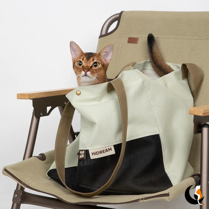 CAT BAG™ - Le sac de transport Première Classe