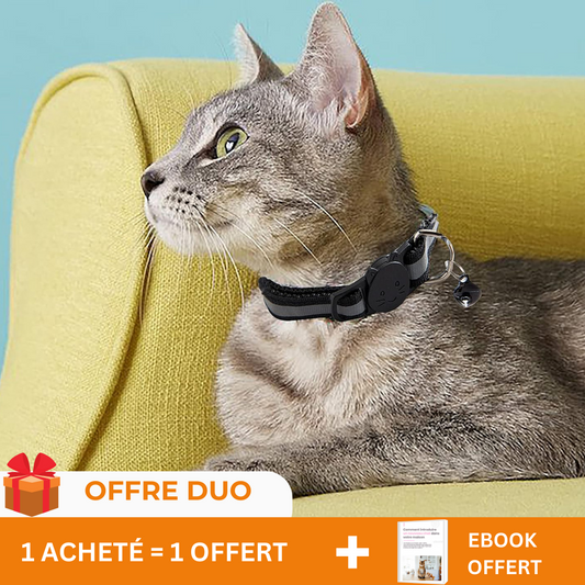 CATBELL™ - Le Collier idéal