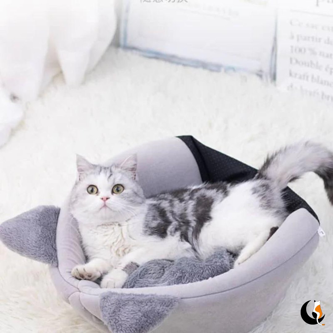 ComfyHouse - Lit pour chat ultra-doux | Chat